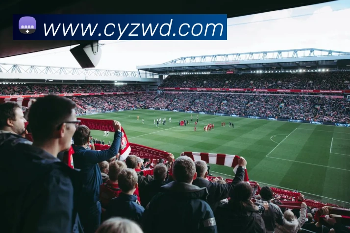 多媒体互动体验